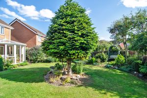 Photo 27- click for photo gallery